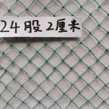 24股2厘米聚乙烯网养鸡网拦鸡网养殖网家禽围栏网户外网天网围栏