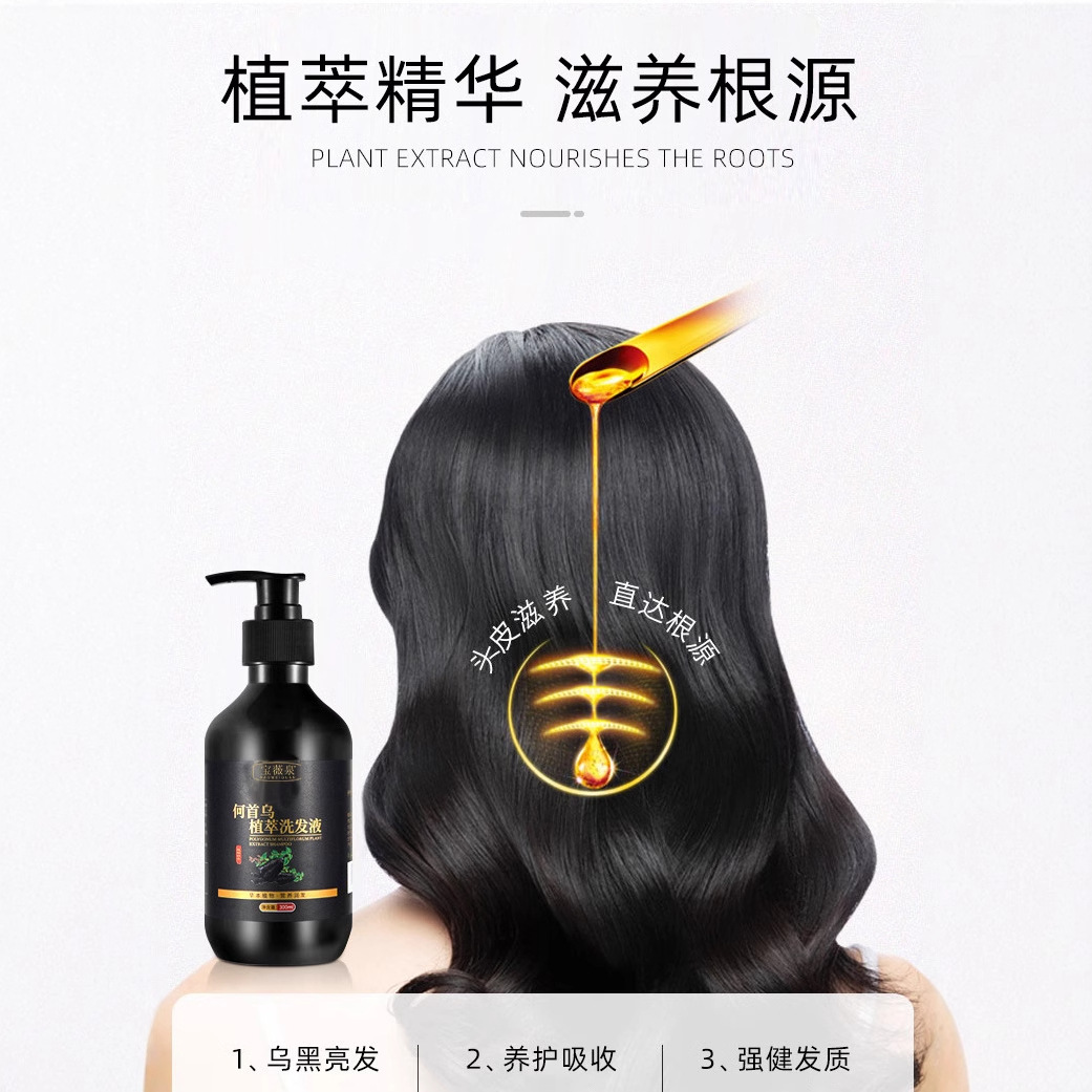 Champú de Polygonum Multiflorum Control de Aceite, Anti-caspa, Nutritivo para Cabello