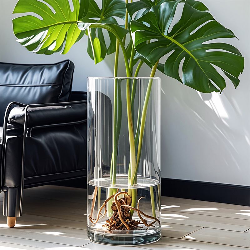 Large Transparent Glass Vase for Hydroponic Monstera and Lucky Bamboo, Flower Arrangement, Living Room Decoration, Straight Tube Design with a High-End Feel Large Transparent Glass Vase for Hydroponic Monstera and Lucky Bamboo, Flower Arrangement, Living Room Decoration, Straight Tube Design with a High-End Feel