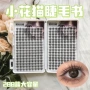 长短流感大容量原生小花猫