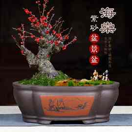 宜兴紫砂盆景花盆梅花客厅椭圆四方长方形树桩特大号马槽