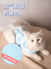 咪绝育服母猫手术服衣服透气戒奶服断奶服公猫防舔术后宠物猫猫