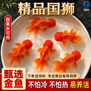 �t�{���~���~�^�p�~С�͵�ˮ��ˮ���\���^���~�Q피t�������B�ͻ�