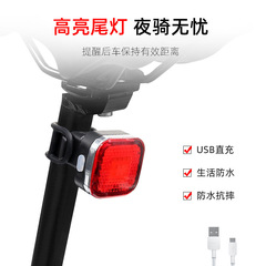 自行車尾燈USB充電夜騎燈 警示爆閃山地車裝備配件騎行燈廠家直銷