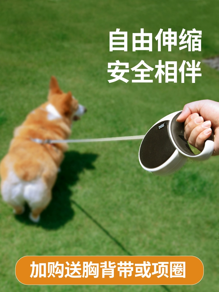 Автоматический выдвижной поводок для собак Dele, поводок для собак Тедди Корги, популярный поводок для собак среднего и маленького размера