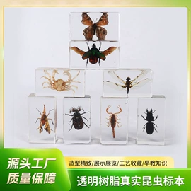 树脂工艺品;标本;钥匙扣及钥匙扣配件