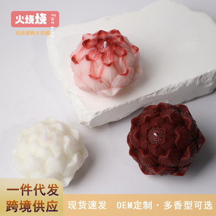 �¿�ɏ����޹Ϟ�T���ε͜�Ϟ�T��Ϟ��ռҾ��҃��b����l���l