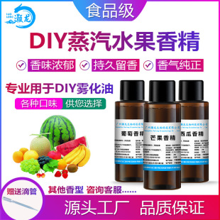 ʳ��DIY������ˮ���㾫��ݮ�㽶���}â����ζ�����������턩�㾫