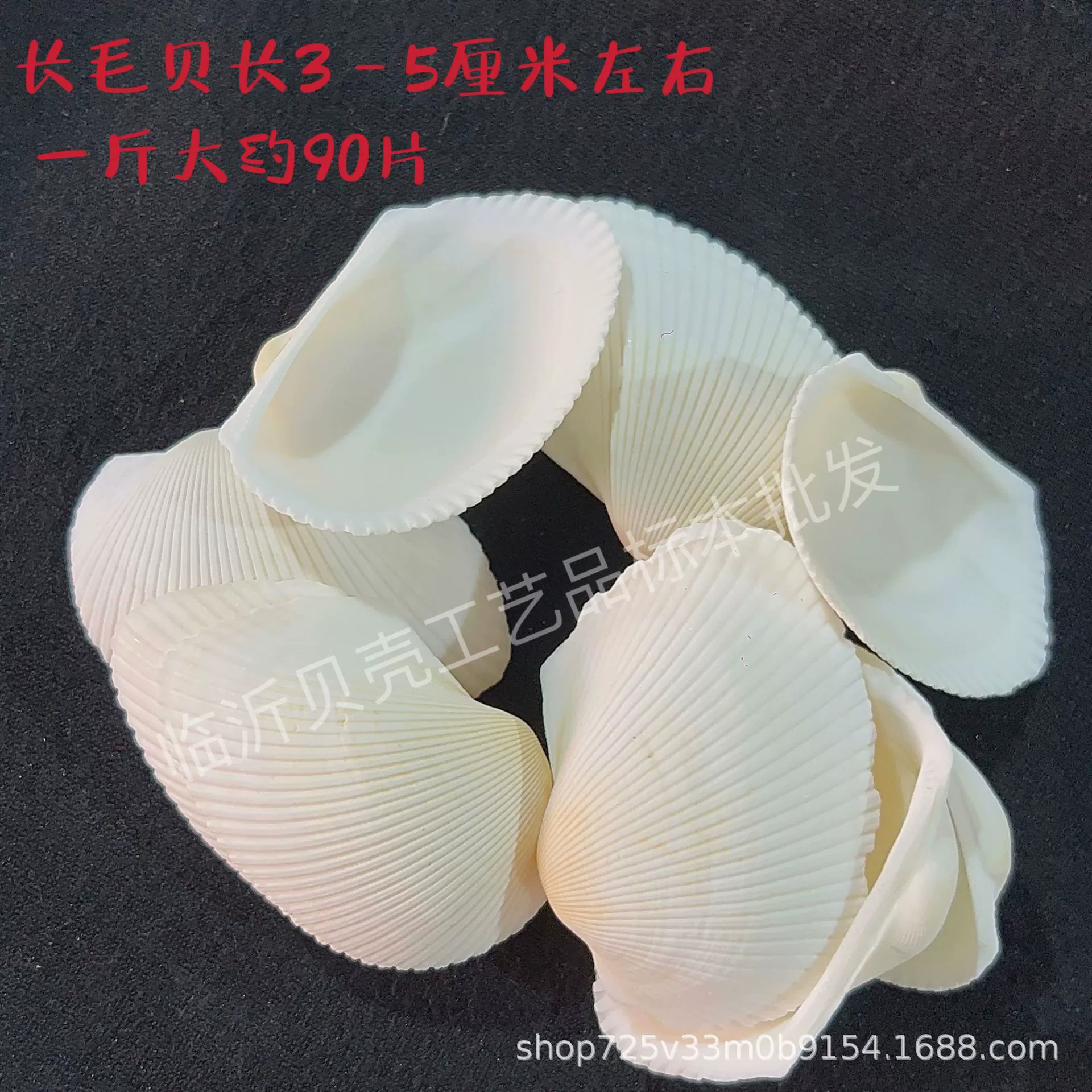 Shell Natural Shell Conch Stars Drifting Bottle Shell Crafts Wholesale Diy Handmade Shell Materials