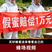 �U�a�����������G�l���������ᗗ��ͩ�����۬F؛����