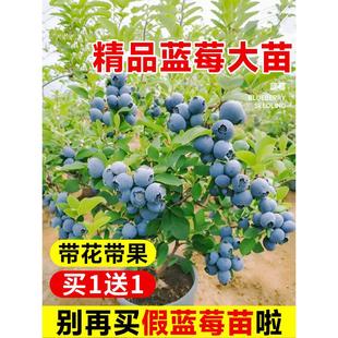 �{ݮ������{ݮ�����Ե��ԊW�᠖�ش󎧹��ϱ����NֲͥԺ�̨����