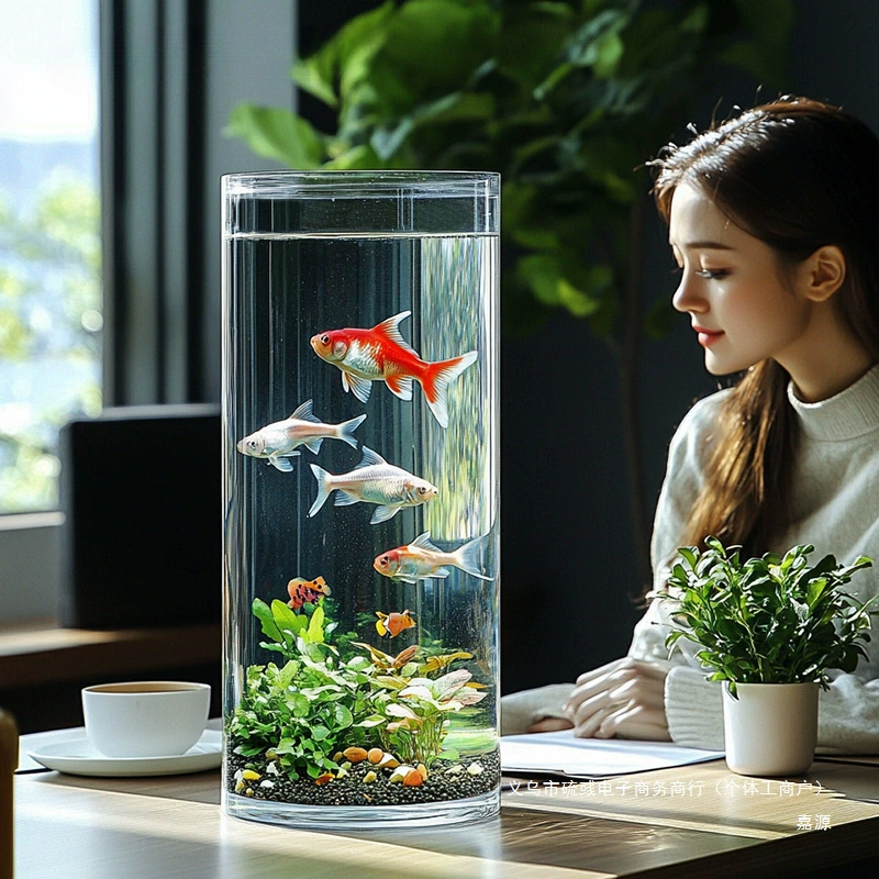 Acrylic transparent glass plastic aquarium, fall protection