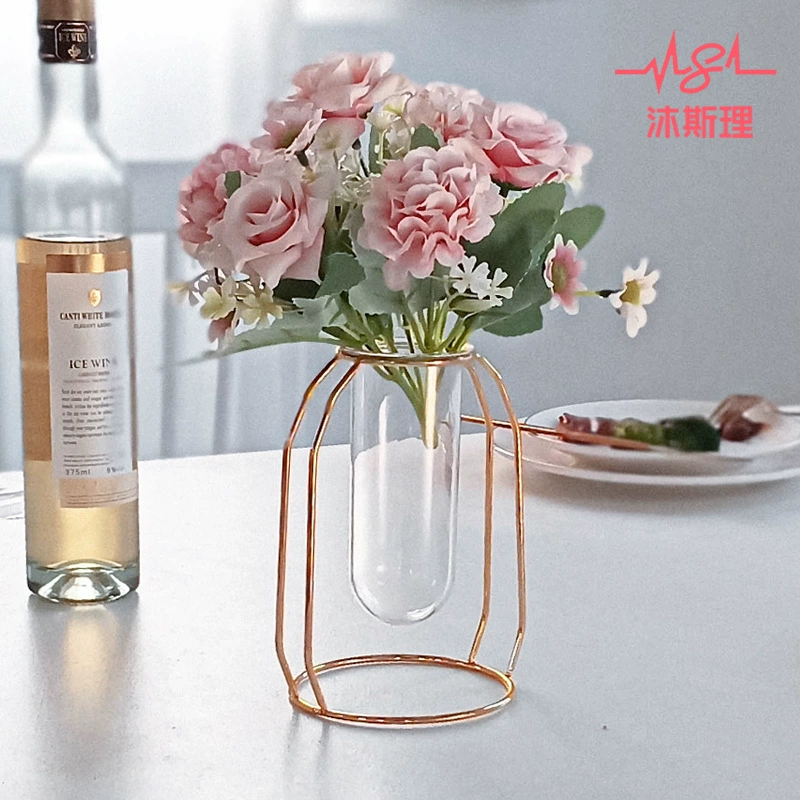 Скандинавский декоративный вазон из железа и пластика с гальваническим покрытием для гидропоники, для дома, рабочего стола, гостиной, для хранения воды, как цветочный горшок или украшение