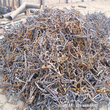 ���h�U�F�߃r����  �f�d���չ��S���F  �Fм