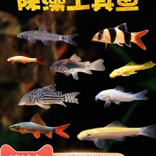 ������^�p�~���w��̦���~���坍���ߟᎧС�͵�ˮ�����~����