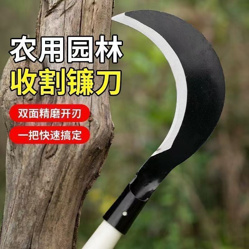 微信图片_20260624174112_95_4.jpg