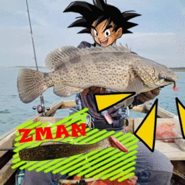 其他垂钓用品;鱼饵;鱼钩