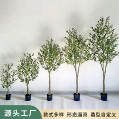 アマゾンはオリーブの木の家の客間の室内の床の大型植物の鉢植えのショーウインドーをシミュレーションしてオリーブの木の工場を飾ります。