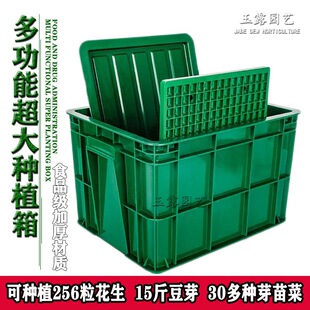 ���û���ѿ�lѿˮ��������ӻ�����Nֲ�P���绨��ѿ�N�����C