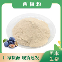 西梅粉 西梅果粉 西梅提取物 水溶欧李粉 固体饮料厂家包邮1KG起