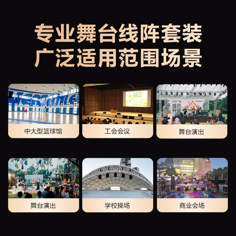 IJS新款双8寸线阵音箱大型舞台线阵音响设备演出专业音箱全套批发|undefined