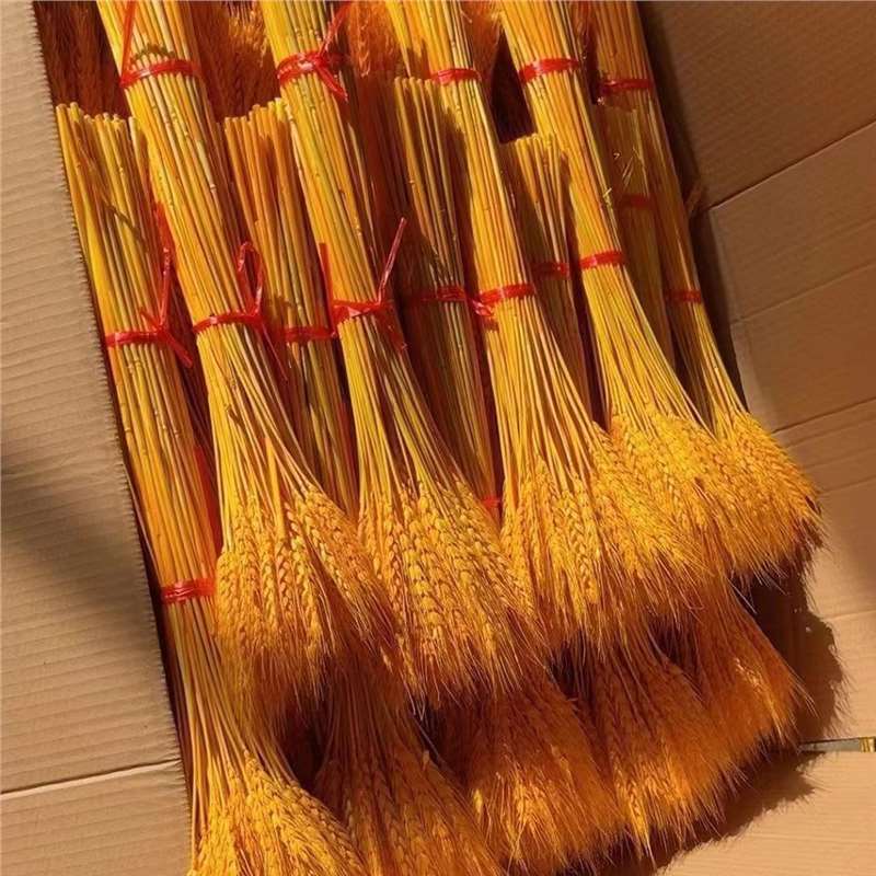 Barley Flower Basket Barley Dried Flower Opening Wheat Spike Fake Flower Wheat Flower bouquet Decoration Pastoral Style Shooting Props Wholesale Barley Flower Basket Barley Dried Flower Opening Wheat Spike Fake Flower Wheat Flower bouquet Decoration Pastoral Style Shooting Props Wholesale