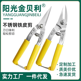 厨用剪刀;修枝剪;家用剪刀