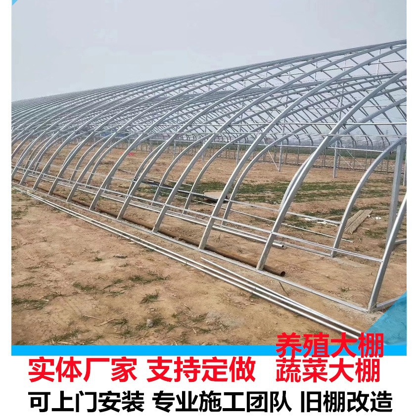大棚骨架 大棚龙骨 椭圆管骨架龙骨 任意宽度生产可上门施工
