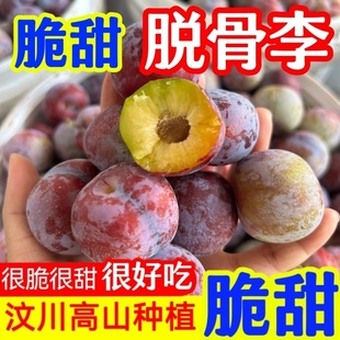 �Ĵ���t��Ó���������r��t��������Ĵ�t���߅�t���´���F؛