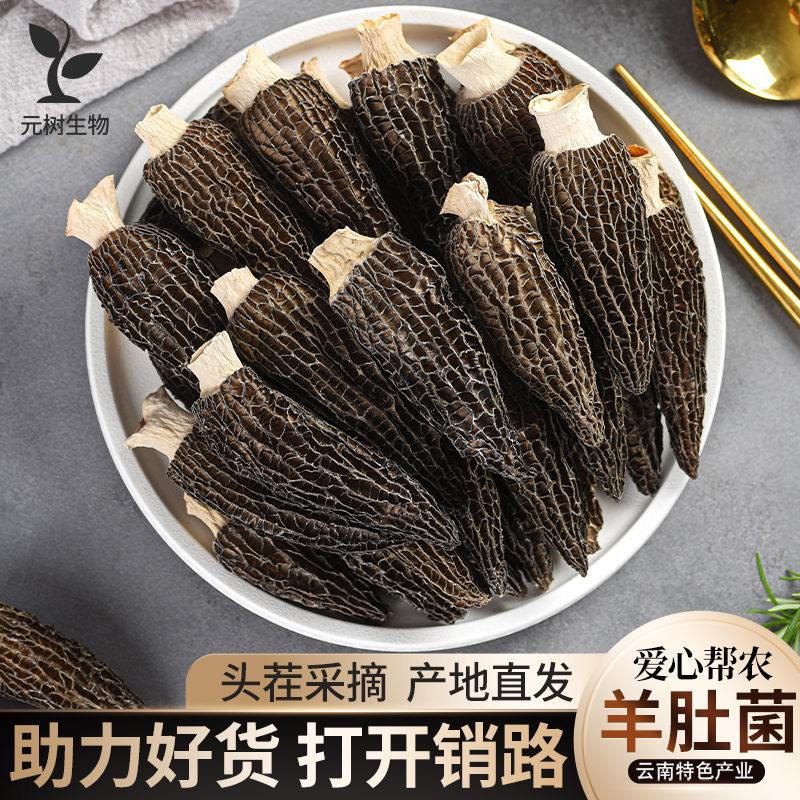 Morel mushroom dried food selected Yunnan specialty Mushroom Goat Soup ingredients wholesale Amazon factory On behalf of