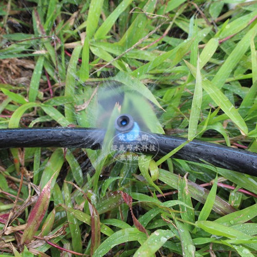 28 centímetros de sombrero azul redondo sprinkler enchufado para enviar doble gancho cabeza de hongo ajustable cerrar árboles frutales riego por micro goteo