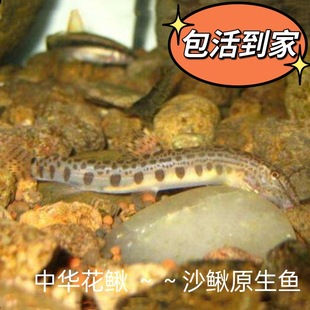 ԭ���~���A���qɳ���q��ˮ���Aɳ�q�^�p�~�������������]