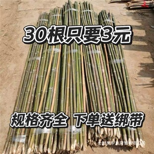 ��Ͳˈ@����߲��S�Ϸ��Ѷ��ǼܗU��h�ʖř�С���Ӽ�������ټ�