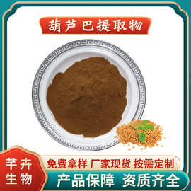 葫芦巴提取物 水溶葫芦巴粉 浓缩粉 浸膏粉 厂家1KG起包邮