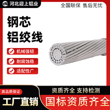 厂家供应 钢芯铝绞线 架空裸导线 室外工程电缆架空绝缘导线150/2