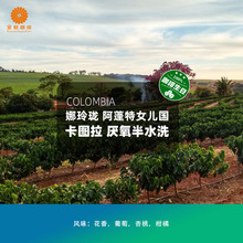 �炐���ᭇ������Ů���� �D��������ˮϴ��Ʒ��������2025�®a��