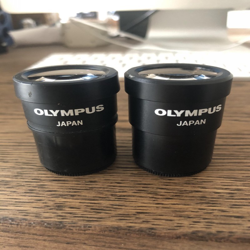 OLYMPUS奥林巴斯GSWH10X-ESD/22显微镜10倍目镜