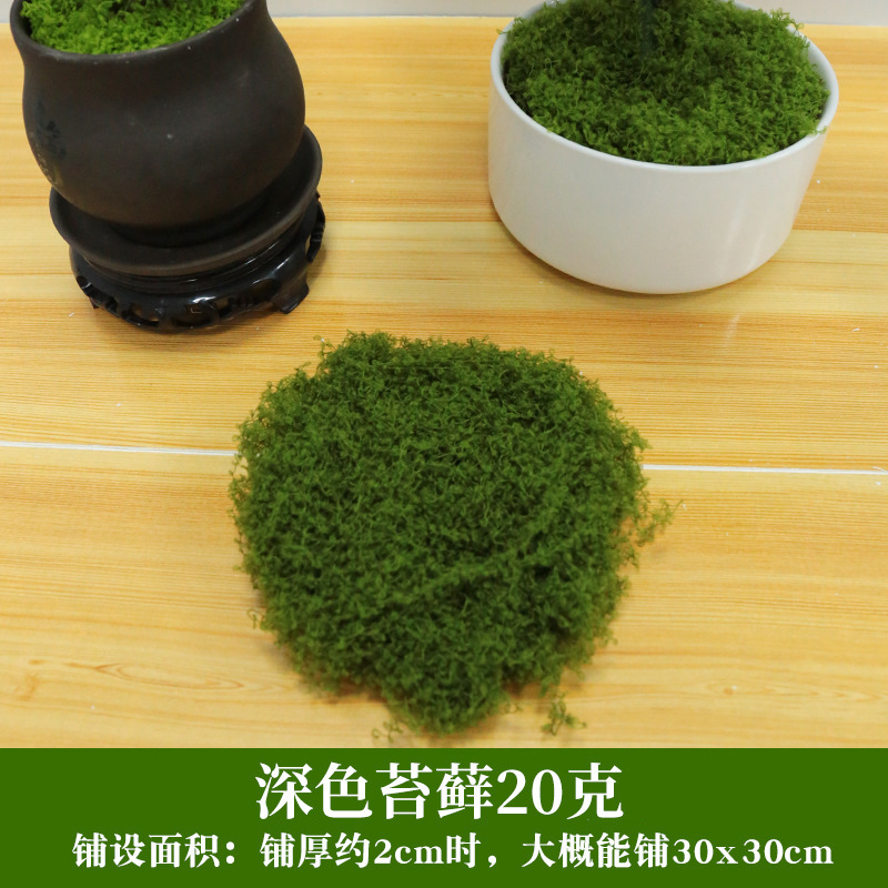 Simulación de césped de seda de musgo, paisaje de musgo biónico, plantas verdes, bonsai, pavimento de paisajismo, decoración de musgo falso, césped falso
