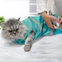 保定洗澡指甲猫咪宠物剪