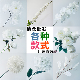 ��ɫϵ��c���滨�ŵ��Ž����ٻ��Ļ�Y�õ��·���b�ˇ���l