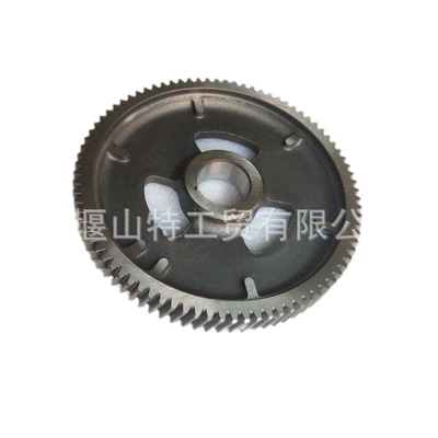 3950135 5284141 – Flywheel/Gear
