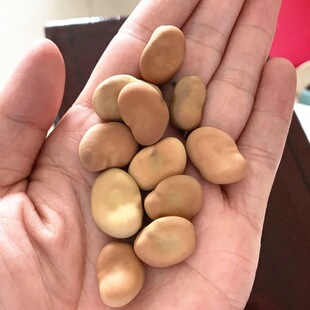 ���Q�����m����5������r����؛���Q������s�Z�ɰlѿ�����u����