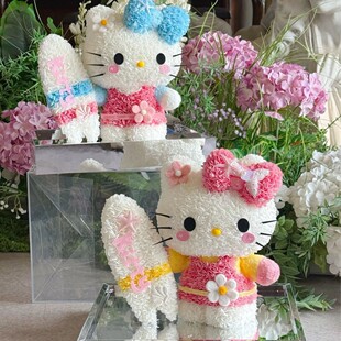 520���˹��Y����Dhellokitty�������滨�P��KT؈�[����Ů���|��