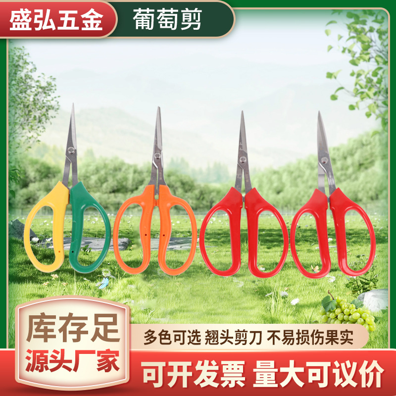 厂家批发稀果剪刀家用不锈钢采摘葡萄摘果剪园艺果枝剪园林剪现货
