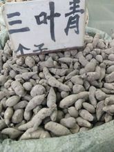 ���~�ࡢ  ���~�� �𾀵����J������ ʯ���� 1����]��؛��؛