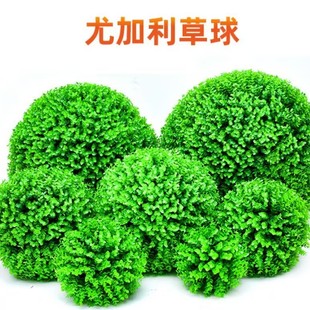 �ȼ������Ͻ��X���� �������ϲ��� �b���Ʒ�������m�����S�����