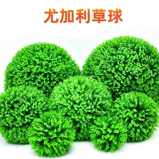 尤加利塑料金钱草球 仿真塑料草球 装饰用品花球米兰草球黄杨草球