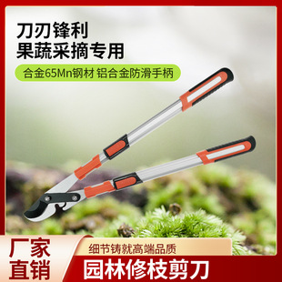 省力果树枝剪修枝剪刀粗枝剪树剪子剪枝剪刀修花枝剪家用园艺工具-阿里巴巴