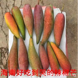 ���lâ�������ϱ���ͥԺС����â�ļ�â�t�������â����Y������