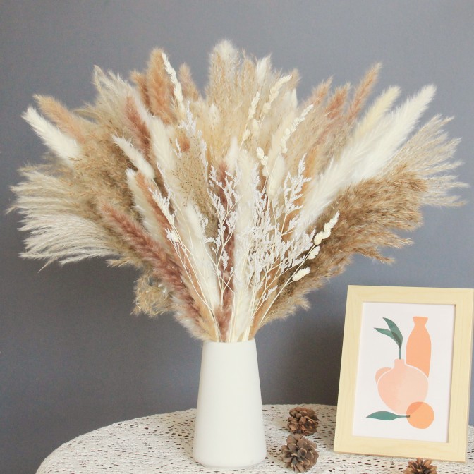 小芦苇干花束套装永生花潘帕斯草批发拂尘客厅装饰拍照亚马逊跨境